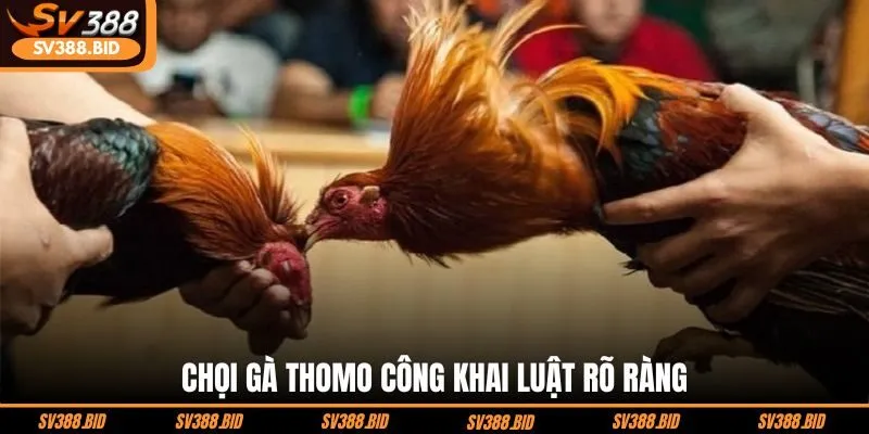 choi-ga-thomo-cong-khai-luat-ro-rang