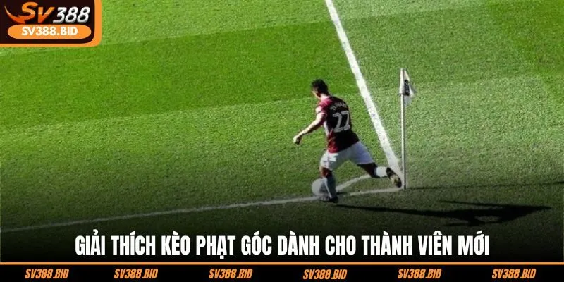 giai-thich-keo-phat-goc-danh-cho-thanh-vien-moi