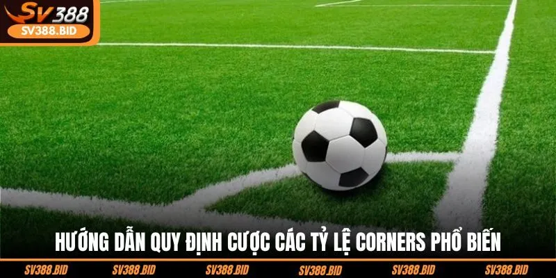 huong-dan-quy-dinh-cuoc-cac-ty-le-corners-pho-bien