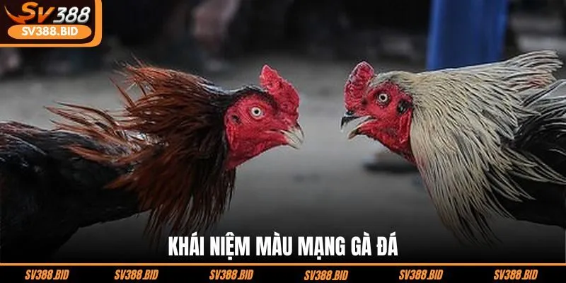 khai-niem-mau-mang-ga-da