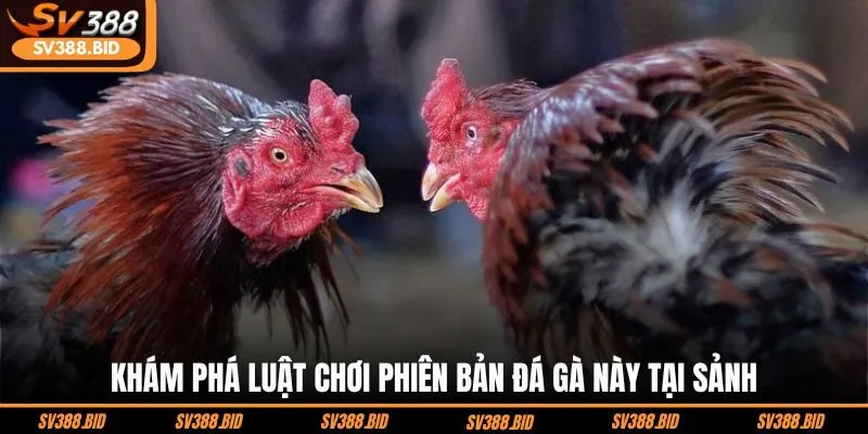 kham-pha-luat-choi-phien-ban-da-ga-nay-tai-sanh