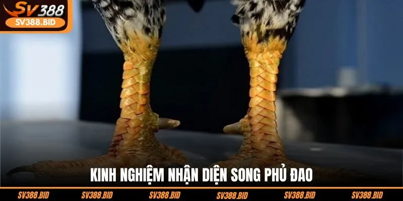 kinh-nghiem-nhan-dien-song-phu-dao