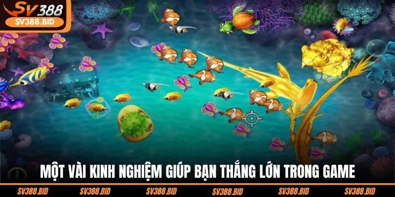 mot-vai-kinh-nghiem-giup-ban-thang-lon-trong-game