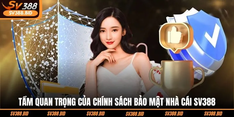 tam-quan-trong-cua-chinh-sach-bao-mat-nha-cai-sv388