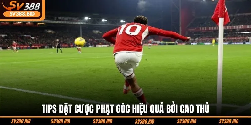 tips-dat-cuoc-phat-goc-hieu-qua-boi-cao-thu