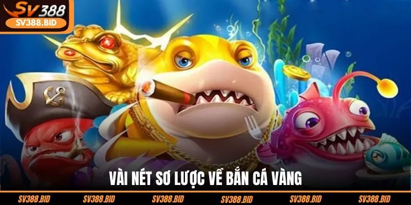 vai-net-so-luoc-ve-ban-ca-vang